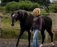 Screenshot 2023-12-27 15.35.09 - Maria-Lucy.png