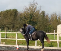 mounted treat 2 - Maria-Lucy.png