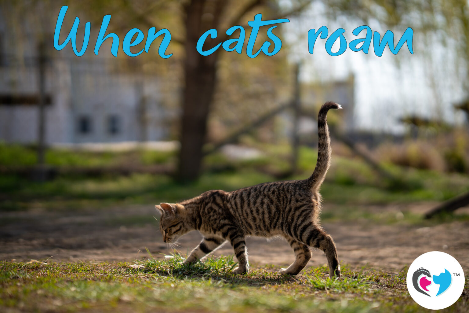 When cats roam... COAPE