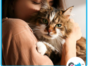 You and Your Rescue Cat