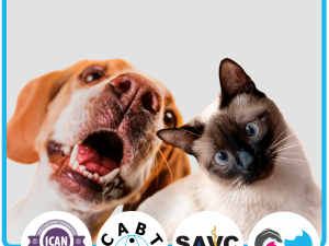 Diploma in Animal Behaviour