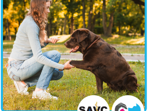 DogWise with Practicals
