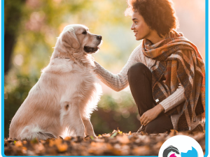 You and Your Dog