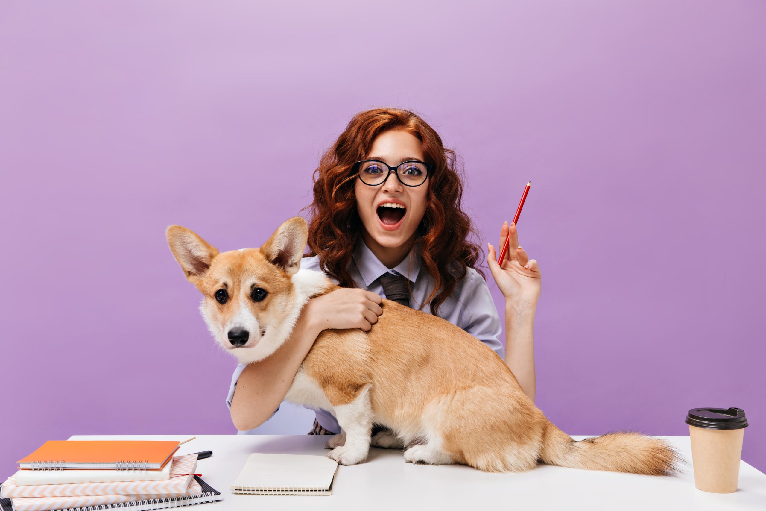 Curly girl in shirt and eyeglasses hugs dog and holds pencil. Red haired young woman in school outfit and black tie posing with corgi..
